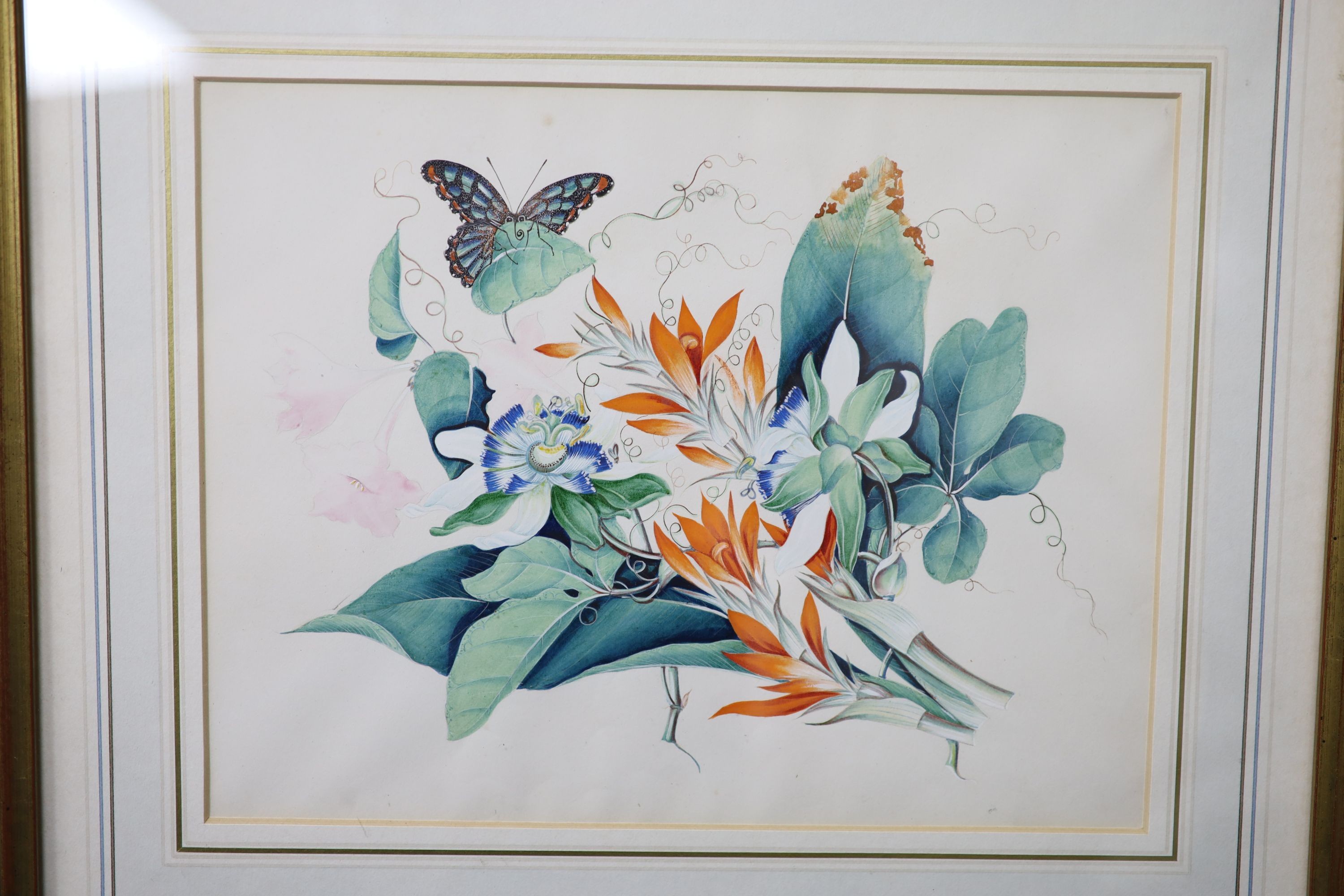 19th century English School, a set of eight watercolour and gouache botanical studies with butterflies, 20 x 27cm